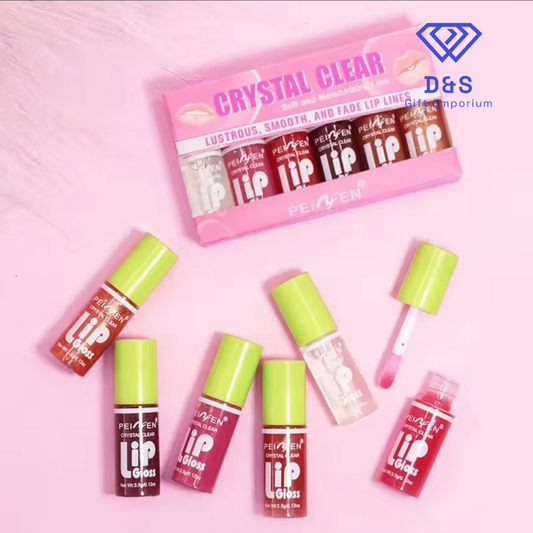 6pcs Lip Gloss Set